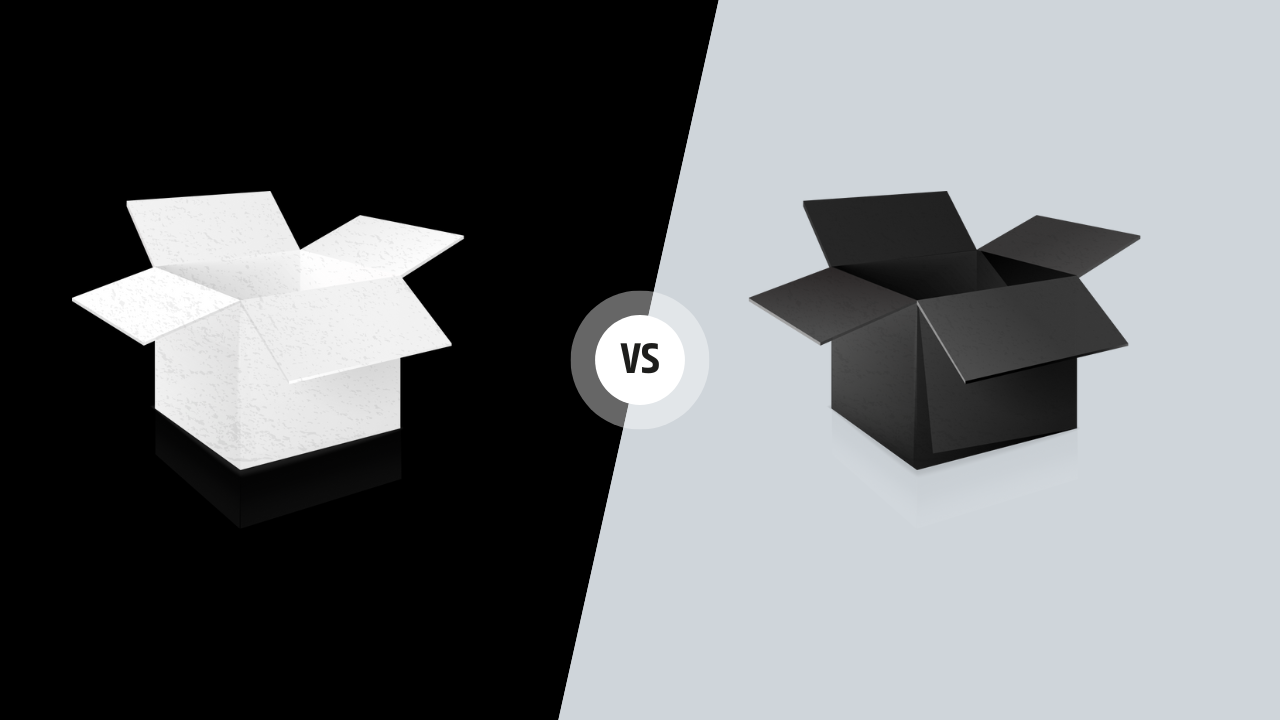 Black Box & White Box Testing in Hindi
